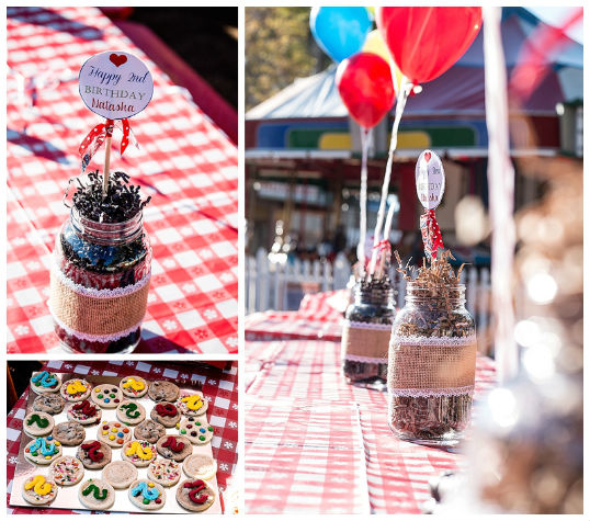 Country Fair Birthday Party Ideas